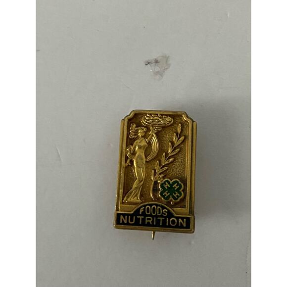 4h foods nutrition pin gold tone is - Picture 1 of 4